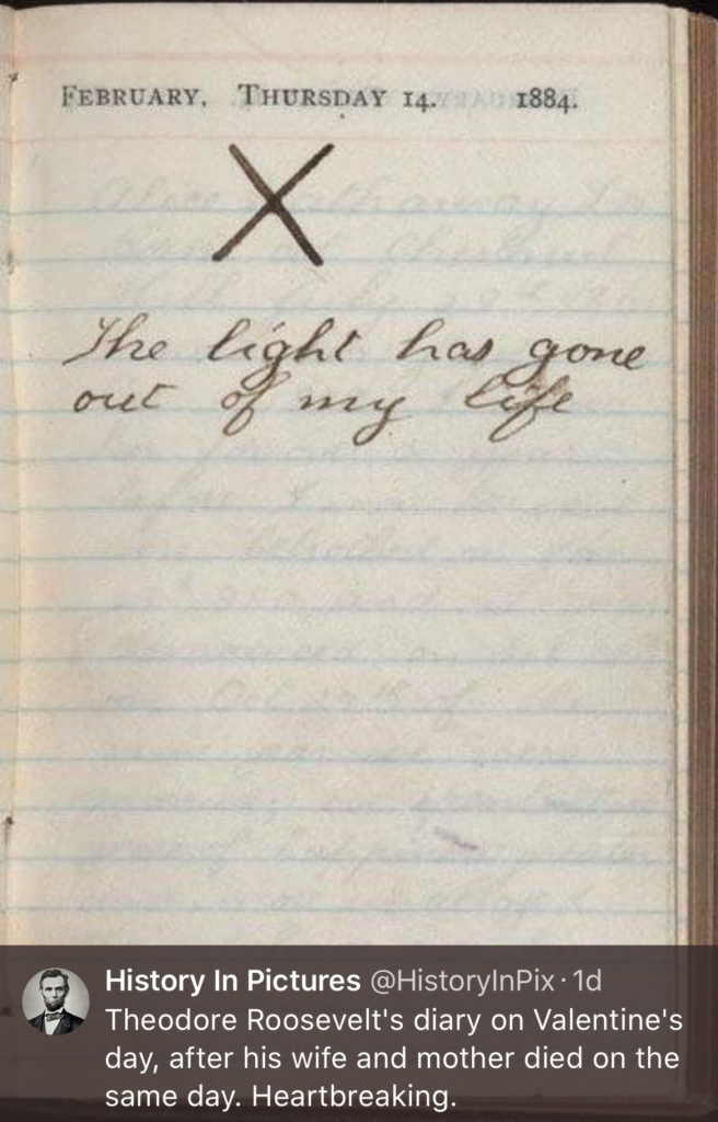 History in Pictures - Teddy Roosevelt's journal